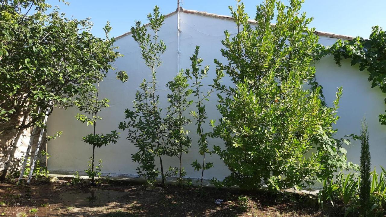 Casa Junto Al Parque Natural De Las Bardenas Sádaba エクステリア 写真